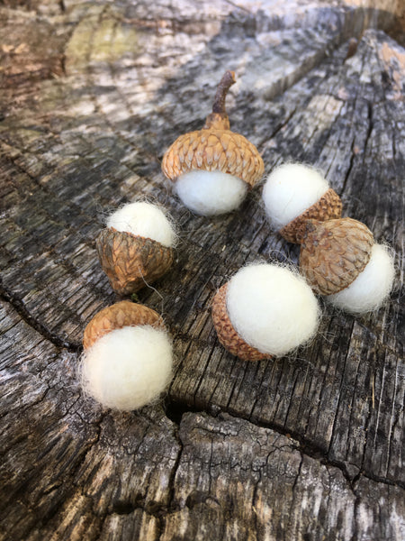 Acorns