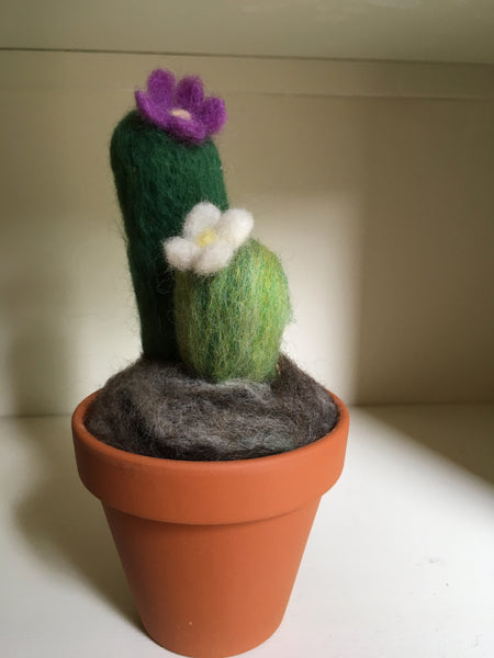 Cactus/Mushroom