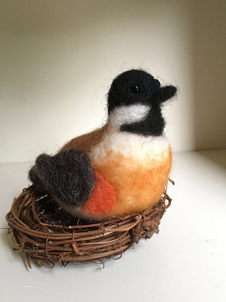 Bird